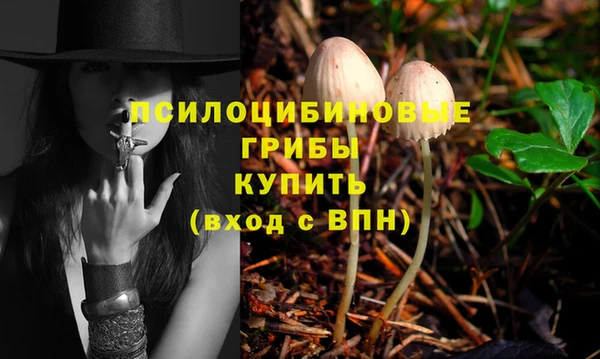 МДПВ Киренск