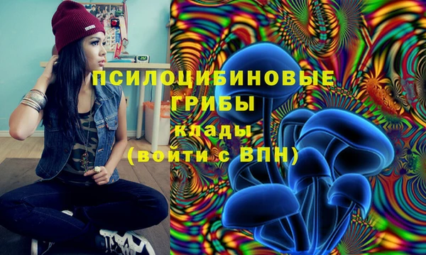 МДПВ Киренск